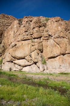 Details of stone, grass and water in the Kaokoland desert