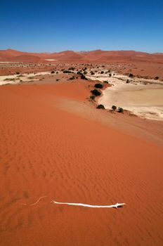 Dune sea of the Namib desert during a hot day

