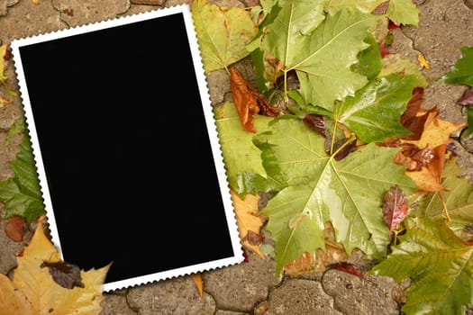 empty picture frame on autumn leaves 