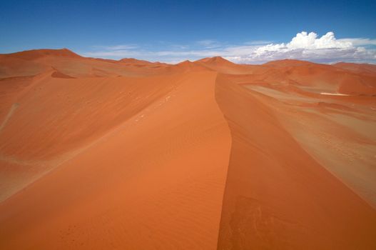 Dune sea of the Namib desert during a hot day
