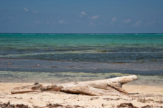 Barker's National Park, Grand Cayman Island