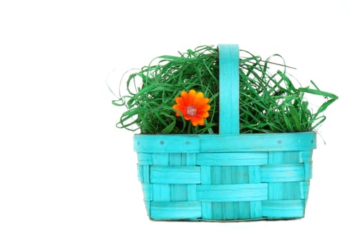 blue wicker basket with flowers isolated on white background 