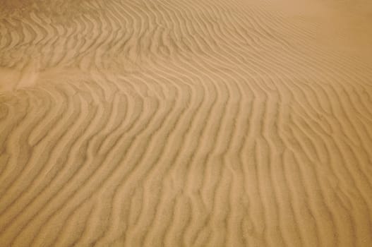 Wavy pattern of sand dunes