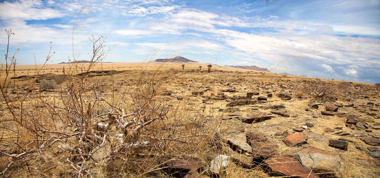 Surreal panorama of the Namib desert going towards solitaire and sossusvlei