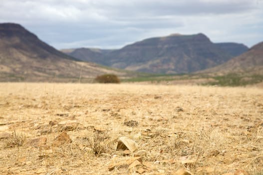 Kaokoland desert in Namibia