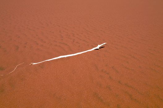 Dune sea of the Namib desert during a hot day
