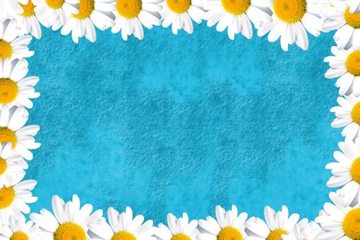 turquoise blue background with a border of daisies 
