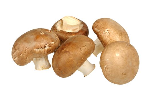 brown champignon isolated on a white background