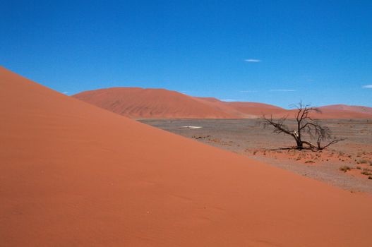 Dune sea of the Namib desert during a hot day
