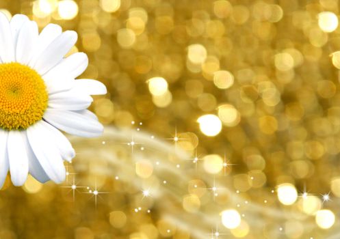 golden background with stars and a daisy 