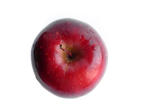 Red wet juicy apple on white background