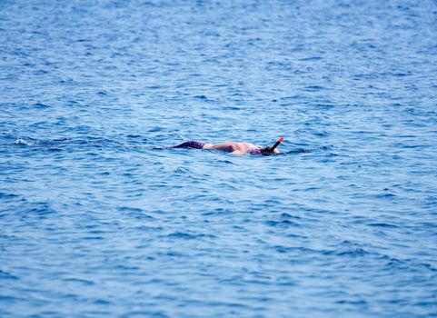 A man snorkeling in the sea