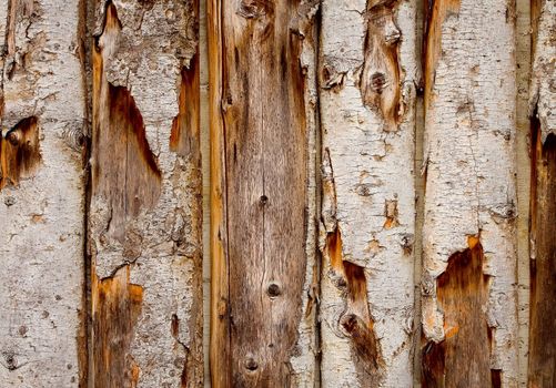 Old wooden garden fence close up - nice texture