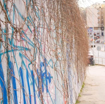 the city walls, and painted gray, branch, street