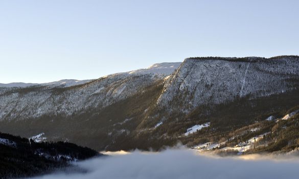 a winterlandscape in sunshine