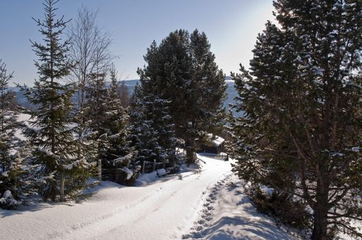 a mountain landscape in the winter