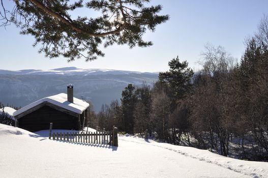 a cottage in a winterlandscape