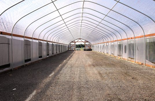 Large empty greenhouse ready for seedlings storage and acclimatization, Oregon.