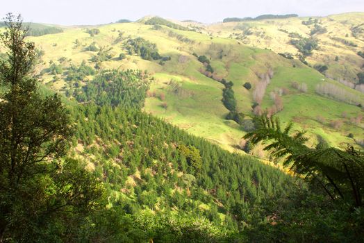 View of the hilly terrain of the North Island of New Zealand.