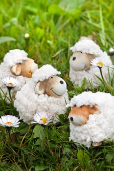 Spring- or easter decoration - funny little sheep in grass with daisies - vertical