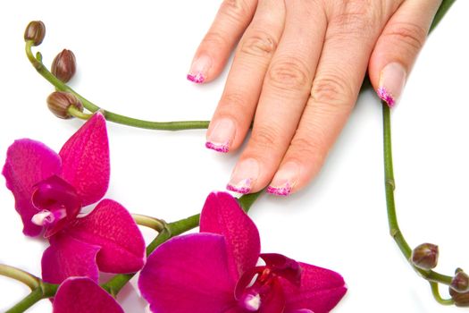 Beautiful hand with perfect nail french manicure and purple orchid flowers