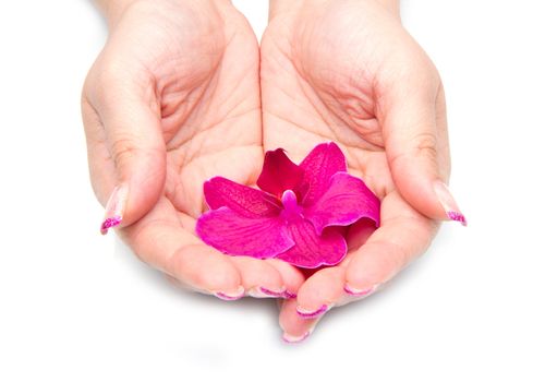 Beautiful hand with perfect nail french manicure and purple orchid flowers