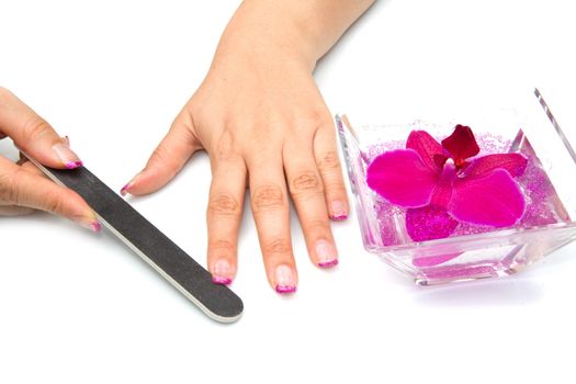 Beautiful hands with pink manicure holding purple orchid 