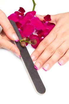 Beautiful hands with pink manicure holding purple orchid 