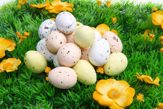 colorful easter eggs in a field of grass