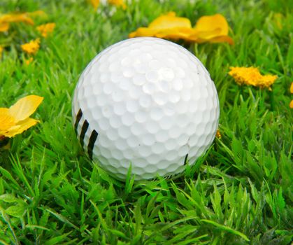 golf ball on green grass