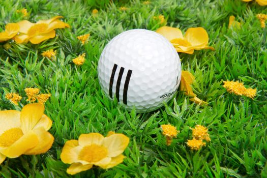 golf ball on green grass