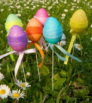 Easter eggs with daisy on grass