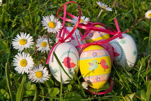 Easter eggs with daisy on grass