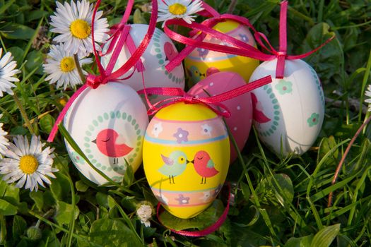 Easter eggs with daisy on grass