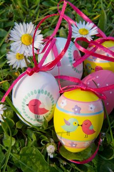 Easter eggs with daisy on grass