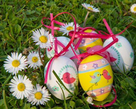 Easter eggs with daisy on grass