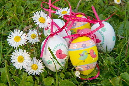Easter eggs with daisy on grass
