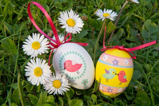 Easter eggs with daisy on grass