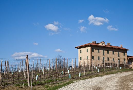 Charming Italian villa in Monferrato area (Piemonte region, north Italy) during spring season