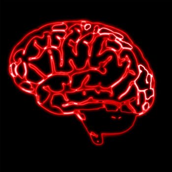 illustration of the red humans brain on black