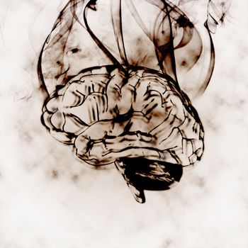 illustration of the burning humas brain in smoke