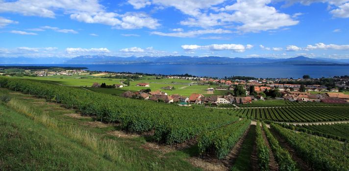 Panoramic view of Lavaux vineyard upon Geneva lake, Switzerland