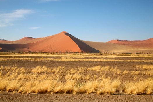 Namibia, Sossusvlei area, the Namib desert