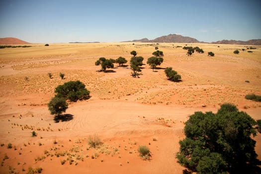 Landscape in Entrance of National Park Sossusvlei Namibia