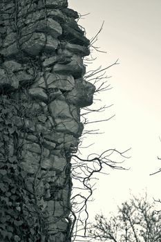 Old Croatian stone castle ruins 