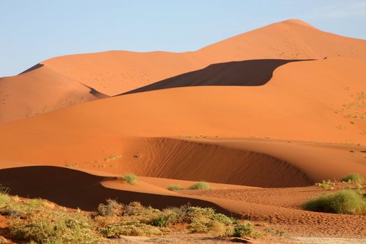 Namibia, Sossusvlei area, the Namib desert