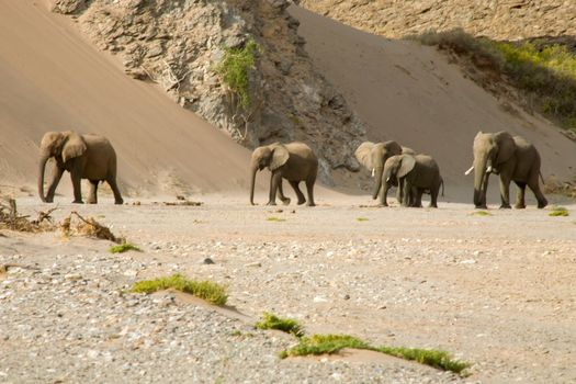 Bleak but imposing landscape of the Skeleton Coast, Namibia