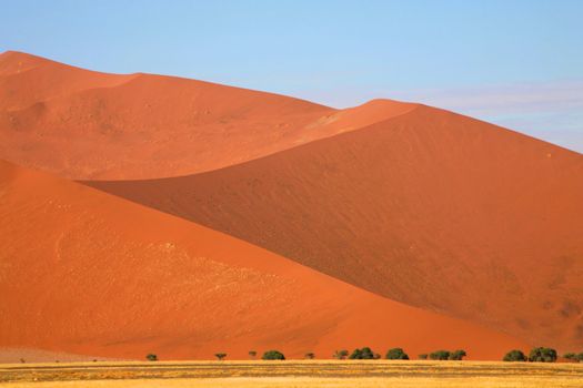 Namibia, Sossusvlei area, the Namib desert
