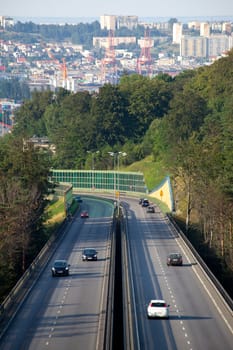 Aerial view of rush hour traffic on the motorway
