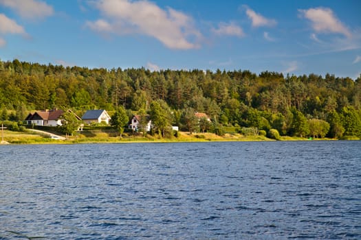 Summer landscape at the lake and forest
